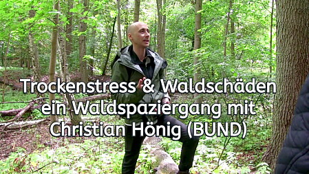 Video Waldspaziergang 6 BUND