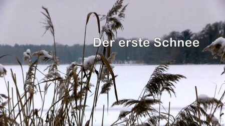 Video Der erste Schnee, Tegel 2021
