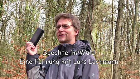 Spechte im Wald Waldinitiative Berlin