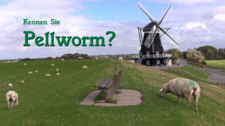 Video Pellworm 2020